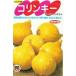  овощи семена свежий тыква [ Colin ключ ] 6.5ml( примерно 9 шарик )(sakata. tane)[ включая доставку ] юг . тыква сельское хозяйство . вода производство . регистрация товар вид 