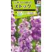  цветок семена stock [ Рождество голубой ] 0.5ml(takii вид рассада )[ включая доставку ] цветок. . вид .. фиолетовый . раздел цветок alase сахалинский таймень ах .... садоводство FST131