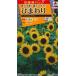 [ экономичный ] цветок семена подсолнух [ Dan sing солнечный ] 6ml( примерно 30шт.@)(takii вид рассада )[ включая доставку ] Mukou .hi вокруг объем упаковка FHM417