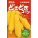  овощи семена кукуруза [.... кукуруза ] 100 шарик (ka кошка вид рассада )[ включая доставку ] овощи ... вид .. кукуруза bai цветные конусы 85 день модель средний сырой огород 