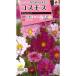  цветок семена Cosmos [ двойной клик ] 1.5ml(takii вид рассада )[ включая доставку ] осень Sakura aki The kla большой весна машина . oo Hal автомобиль gikFCS229
