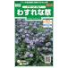  цветок семена незабудка [dowa-f голубой ] 0.2ml( примерно 80 минут )(sakata. tane)[ включая доставку ]dowa-f голубой незабудка was Rena gsa. изношенный ... незабудка 