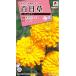  цветок семена 100 день .[ Gold солнечный ] 3ml(takii вид рассада )[ включая доставку ] Gold Sanji niahyaknichi saw . остров .ulasima saw длина ..cho поплавок .u saw FZN641