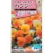  цветок семена анютины глазки [nachure essence Gemini ] 0.2ml( примерно 40 минут )(takii вид рассада )[ включая доставку ] viola фиолетовый sumire три цвет фиолетовый san .. sumire . бабочка цветок . бабочка .FPA765