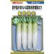  овощи семена дайкон [ лето осень Kiyoshi свет ] 5ml(to- ho k вид рассада )[ включая доставку ]... ослабленное крепление ...kashu поплавок yomitsu дайкон дайкон синий шея общий futoshi .