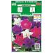  цветок семена утро лицо [.... смешивание ] 1ml(sakata. tane)[ включая доставку ] цветок. . вид .... ипомея mo- человек g Glo Lee .......... колокольчик крупноцветковый The ki темно синий go 