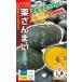  овощи семена тыква [ каштан ....] 30 шарик ( наан to вид рассада )[ включая доставку ] овощи ... вид ........ юг . тыква супер . количество . надеты .. огород средний . сырой 