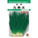 [ Kyoto Special производство ] овощи семена лист лук-батун [ 9 статья futoshi .] 13ml( примерно 1,700 шарик )(takii вид рассада )[ включая доставку ] жребий .... лук порей лист . лист лук порей брызги .kjou лук-батун весна * лето * осень ..