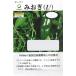  овощи семена зеленый перец [...(L3)] 1,000 шарик ( садоводство растения . вид изучение место )[ включая доставку ] овощи ... вид Mio gi.-.. много .. надеты ..tougalasi мельчайший .u il s сопротивление .