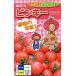  овощи семена легкий кожа мини помидоры [ Pinky ] 15 шарик ( наан to вид рассада )[ включая доставку ]...- перевозка . товар . много . незначительный кожа 