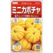  овощи семена Mini тыква [pchi.-ni] 30 шарик (sakata. tane)[ включая доставку ]pchi-nipchii-ni юг ... тыква ho k ho k выдерживающий жара .. большой .. магазин .