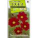  цветок семена Cosmos [ красный bell носорог yu] 1.7ml(takii вид рассада )[ включая доставку ] красный bell носорог yu осень Sakura aki The kla большой весна машина . oo Hal автомобиль gik