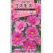  цветок семена Cosmos [ двойной клик rose бонбон ] 1.2ml( примерно 25 минут )(takii вид рассада )[ включая доставку ] цветок. . вид .. осень Sakura aki The kla большой весна машина . oo Hal автомобиль gik
