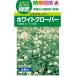  трава семена белый clover [.. clover ] 60ml(takii вид рассада )[ включая доставку ] сидераты зеленый . для улучшение почвы 