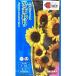  цветок семена подсолнух [ солнечный Ricci soleil Mu jiam] 3ml(takii вид рассада )[ включая доставку ] цветок. . вид .. Mukou .hi вокруг солнечный Ricci soleil Mu jiamFHM510