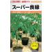  овощи семена шт. дерево для помидор [ super хорошо .] 100 шарик (ka кошка вид рассада )[ включая доставку ].-.- ryou .. большой gi... выдерживающий болезнь насекомое . почва болезнь . избежание средний * долгое время культивирование 
