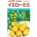  овощи семена мини помидоры [ желтый ушко (уголок) ] 10 шарик (ka кошка вид рассада )[ включая доставку ] лимон желтый выдерживающий болезнь . составной сопротивление . огород высшее . сырой через год культивирование 