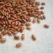  красный рис 150g 2024 год Iwate префектура производство 