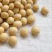  large legume 800g 2023 year Yamagata prefecture production .. cheek .. free shipping mail service [M flight 1/2]