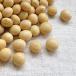  большой бобы 5kg 2024 год производство . мир 6 год производство Yamagata префектура производство .. щека .. для бизнеса упаковка 