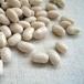  large hand .500g 2023 year Hokkaido production white ... free shipping mail service [M flight 1/2]