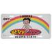 betib-p коммерческий plate номерная табличка способ табличка plate HAWAII ALOHA STATE H15×W30cm american смешанные товары интерьер смешанные товары 