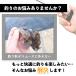 �t�b�N�����[�o�[ �j�O�� �t�b�N�����[�T�[ �ނ�j�͂��� ���� �����O �͂�͂��� �W�M���O �֘A�摜2