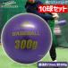  бейсбол поле сила batting тренировка Sand мяч удар энергия мяч 300g FIMP-300G-EC 10 лампочка комплект Fieldforce бейсбол сопутствующие товары swallow спорт 