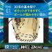 �싅 �O���[�u � �~�Y�m ��O���[�u �O���u �E�B���h���C�u ��p �I�[�����E���h�p ��l�p ��ʗp 1AJGR34700 MIZUNO �싅�p�i�X�����[�X�|�[�c �֘A�摜3