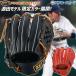  baseball Z Pro stay tas softball type softball type glove softball type glove Z limitation glove Pro stay tas two . hand *.. hand for .... source rice field model source rice field model BRGB30250