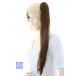  Short Vance 60cm[bita- Brown ] жаростойкий 180*C присоединение шерсть "конский хвост" tsu Inte -ru зажим отметка парик костюмированная игра парик дешевый Event (016 bad-8)