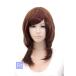  Wolf re year [ натуральный Brown ][ парик сеть есть ] костюмированная игра парик жаростойкий 180*C Halloween лето komi культура праздник супер-скидка дешевый Event (wlf-m33m)