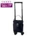  Swany дорожная сумка официальный покупка Cart передвижная корзинка покупки Cart 4 колесо пожилые люди Zip VII TS15 SWANY D-583