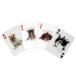  Kicker Land 3D кошка карты 3D Cat Playing Card кошка. карты Kikkerland