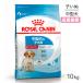 Royal kana nSHN medium papi- средний собака рост поздняя версия. . собака для после рождения 12 месяцев . до 10kg ( собака * собака )[ стандартный товар ]