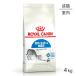 CJi ChA Lp 4kg (LELbg) [Ki]