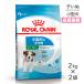 [2kg×2 пакет ] Royal kana nSHN Mini papi- маленький размер собака рост поздняя версия. . собака для после рождения 10 месяцев . до ( собака * собака )[ стандартный товар ]