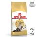 [2kg×2 пакет ] Royal kana nFBNperu автомобиль * шиншилла *himalayan для взрослой кошки после рождения 12 месяцев . из 12 лет до ( кошка * кошка )[ стандартный товар ]