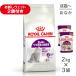 �y2kg�~3�܁z���C�����J�i�� FHN �Z���V�u�� �H���ׂ��₹�C���̐��L�p ����12�������12�΂܂� (�L�E�L���b�g)[���K�i]