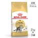 [2kg×3 пакет ] Royal kana nFBN american Short волосы - для взрослой кошки после рождения 12 месяцев . из 12 лет до ( кошка * кошка )[ стандартный товар ]