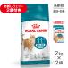 [2kg×2 пакет ] Royal kana nFHN старение стерео ARAI zdo11+..*.. высота . кошка для 11 лет и больше ( кошка * кошка )[ стандартный товар ]