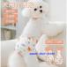���p �T�j�^���[�p���c ���p�}�i�[�p���c �����p���c ���ނJ�o�[ �T�X�y���_�[�t�� �}�i�[�x���g�h�b�O�E�F�A �����p ���� ���^�� ���^�� ���