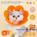  pretty . flower cat cat for EVA material light weight soft Elizabeth collar S M L size -stroke less reduction light weight . after scratch . protection scratch lick prevention for pets soft Elizabeth collar sunflower decoration 
