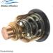  сменный товар Yamaha 175 200 6DA-12411-00 6DA-12411-01 навесной мотор для термостат HP 4 ход 
