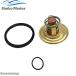  сменный товар 833366 для Volvo MD2 MD6A MD6B MD7A MD7B 875796 термостат комплект 140? 60°C PENTA