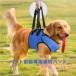  собака для уход Harness приспособление для ходьбы . собака ходьба поддержка устойчивый KNK( АО ).. поддержка маленький размер собака средний собака прогулка травма рука . после переустановка простой высота . собака для домашних животных пассажирский Harness 