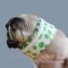  собака для прохладный шея прохладный шарф снуд охлаждающие средства шарф снуд шея . средний . меры KNK( АО ) маленький размер собака средний собака большой собака холодный хочет ... лето прогулка .... товары 