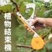  садоводство для tying machine лента na- сменный растения . цитирование приятный .. фиксация KNK( АО ).. растения / овощи. фигурная скобка . работа эффективность выше принадлежности для садоводства удобный tool 