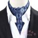  пластрон галстук мужской галстук палантин модель формальный KNK( АО ) свадьба party шарф Британия способ джентльмен форма форма ... модный 