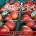  инжир [.. сельское хозяйство .] для бытового использования 350g×4P 1.4kg Wakayama префектура производство {8/ средний .~8/ последняя декада .. отгрузка начало } Hokkaido * Okinawa префектура. рассылка не соответствует 